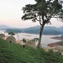 Tour of Waynad 2N/3D